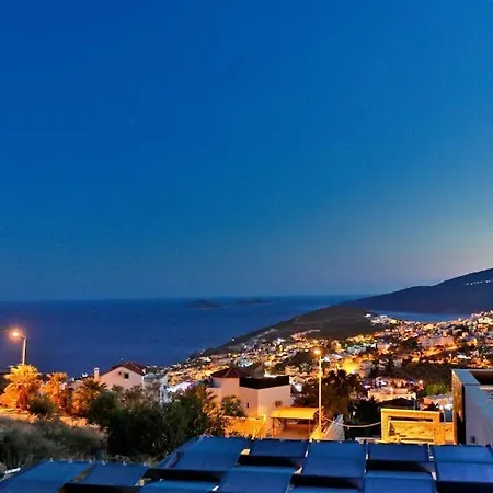 Duygu Kalkan * 卡斯